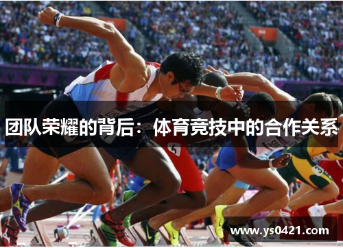 团队荣耀的背后：体育竞技中的合作关系