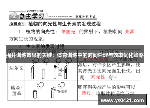 提升训练效果的关键：体育训练中的时间管理与效率优化策略